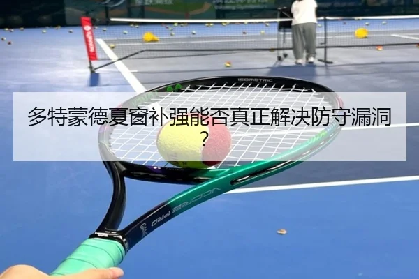 多特蒙德夏窗补强能否真正解决防守漏洞？